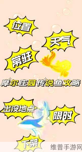 摩尔庄园手游斑点鲨垂钓全攻略，揭秘传说级鱼类的出现地点与技巧