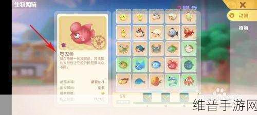 摩尔庄园手游深度攻略，揭秘罗汉鱼的垂钓秘境