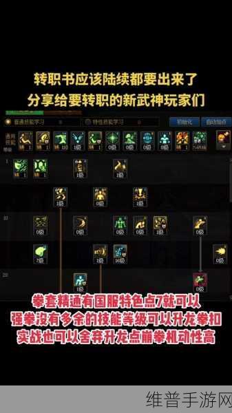 DNF100版本武神技能深度解析，哪个技能伤害最高？