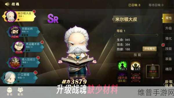金币要超级地城之光，战魂搭配全攻略深度解析