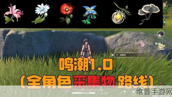鸣潮手游云芝采道具全面获取攻略