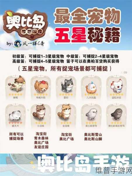 奥比岛手游，蜂蜜的获取途径与使用指南详解
