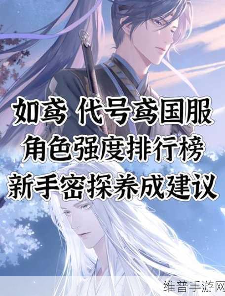 如鸢手游开局角色选择深度剖析与策略建议