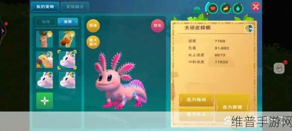 创造与魔法捕捉蝾螈必备资源及高效管理策略全解析