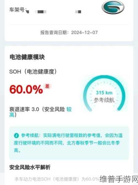 30秒速览手游攻略，新能源电池报告查询全解析