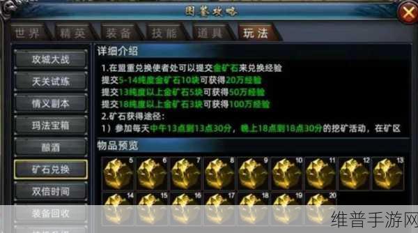 冰原守卫者高效升级策略，从新手到高手的全面指南