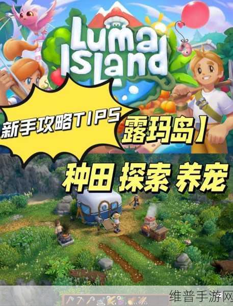 露玛岛冒险指南，全面解析宠物商店修复策略