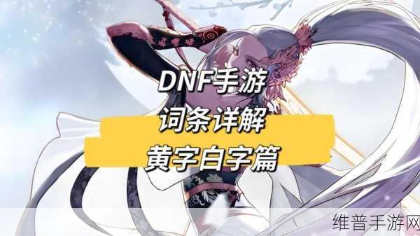 DNF深度解析，白字与黄字背后的战斗哲学