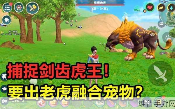 创造与魔法，探索宠物捕捉全攻略