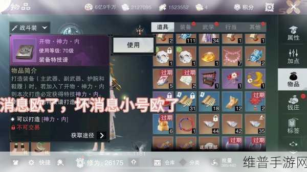 一梦江湖关展眉NPC位置坐标及角色背景深度解析