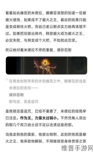 数毛社深度剖析艾尔登法环PC版性能问题，手游公司视角下的攻略与数据