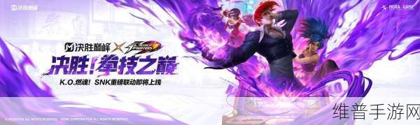 决胜巅峰之路，段位一览与攀登策略全解析