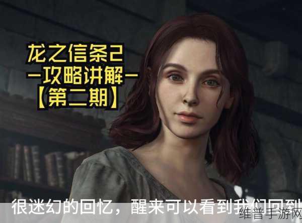 龙之信条2全面解析，手游公司的攻略数据与深度剖析