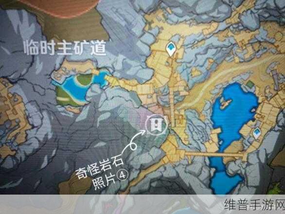 原神拍摄更多化石照片位置全攻略