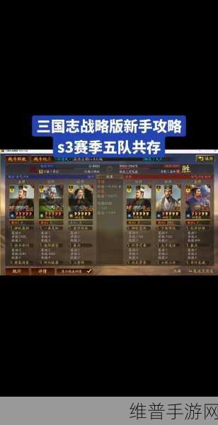 三国志战棋版深度攻略，霸业卡池保底机制全解析