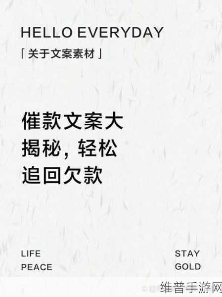 玩梗高手，揭秘天价欠款背后的攻略，助力大郎凑够欠款秘籍