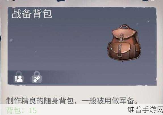 冰原守卫者背包容量详解，如何最大化你的携带能力