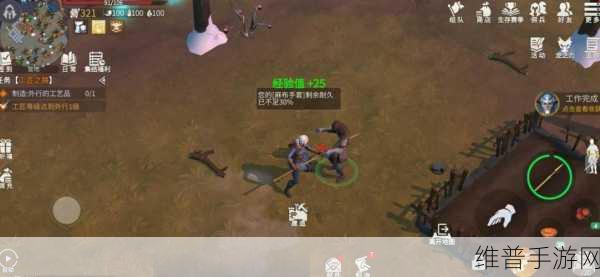 冰原守卫者背包容量详解，如何最大化你的携带能力