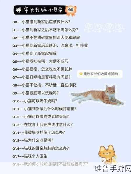 桃源深处有人家，养猫攻略详解