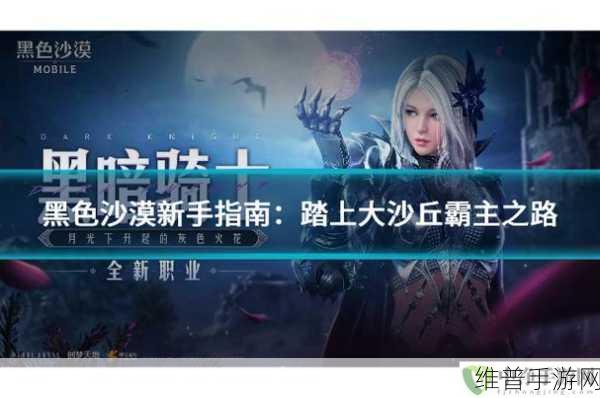 黑色沙漠手游新手攻略，初始职业选择指南