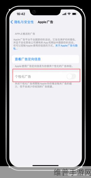 手游优化秘籍，手机上如何修改DNS，iPhone用户必看