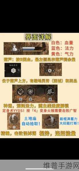 黑神话，悟空手游攻略全解析——适合多大年龄玩家体验？