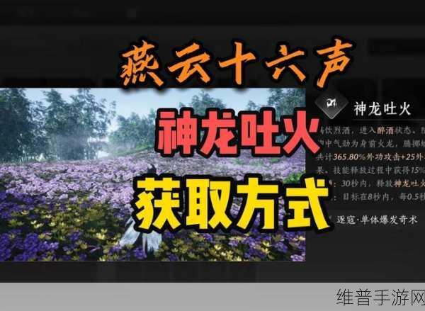 燕云十六声走火入魔应对全攻略