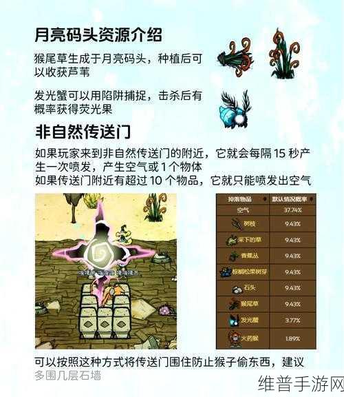饥荒探险指南，寒冰切斯特——资源管理的高效得力助手