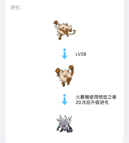 超进化物语深度探索，揭秘基因突破属性的神奇之旅全攻略