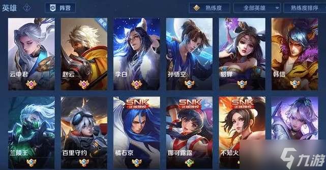 王者荣耀高校认证全攻略，解锁专属特权与荣耀