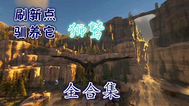 奇妙方舟生存进化之旅，揭秘探索仙境的神秘领域全攻略