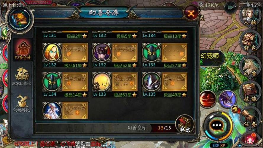魔域口袋版深度解析，血魂养成全攻略
