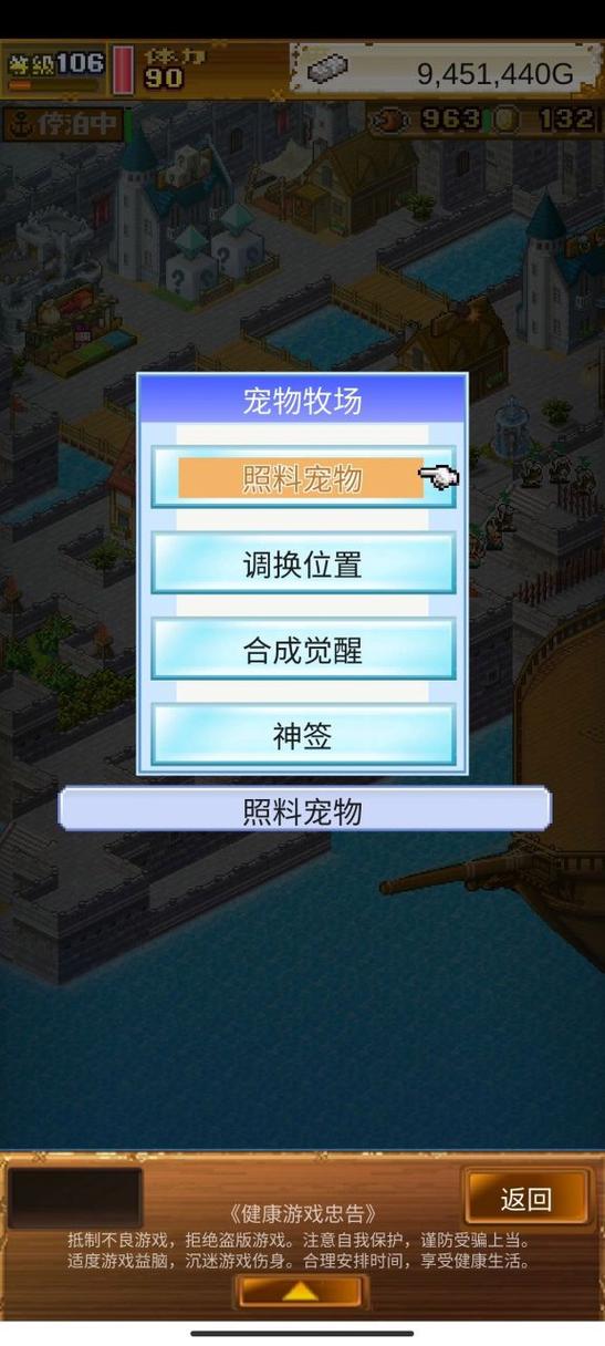 大航海探险物语,宠物孵化深度攻略