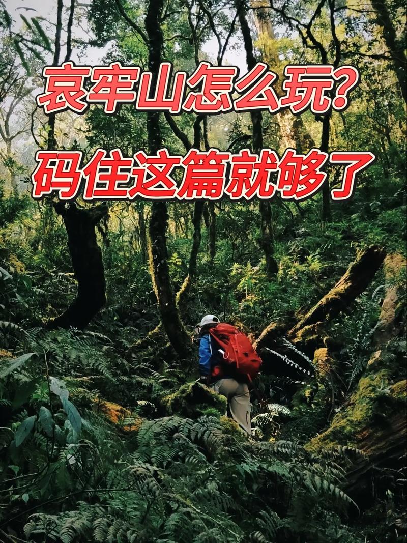 勇闯秘境，精彩玩法全解析
