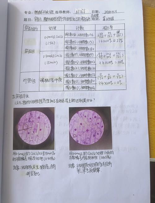 拯救细胞玩法深度解析与游戏乐趣探讨