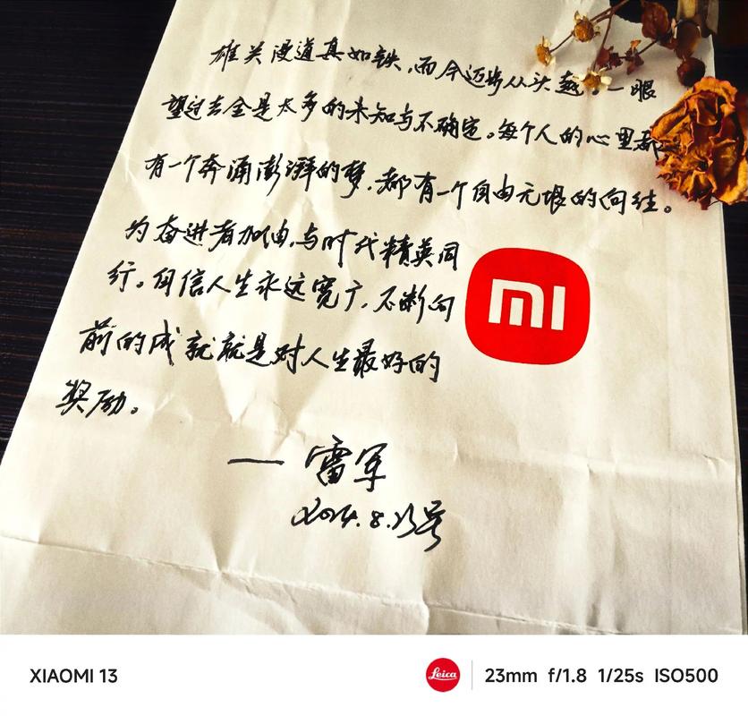 小米新年巨献，500万张明信片免费领，雷军跨年直播揭秘2025手游新趋势