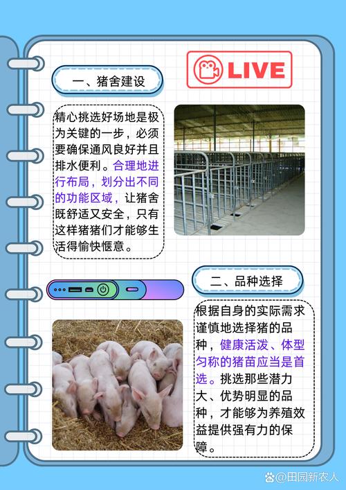 模拟农场25高效养猪攻略，全面解析收集与利用猪粪的实用方法推荐