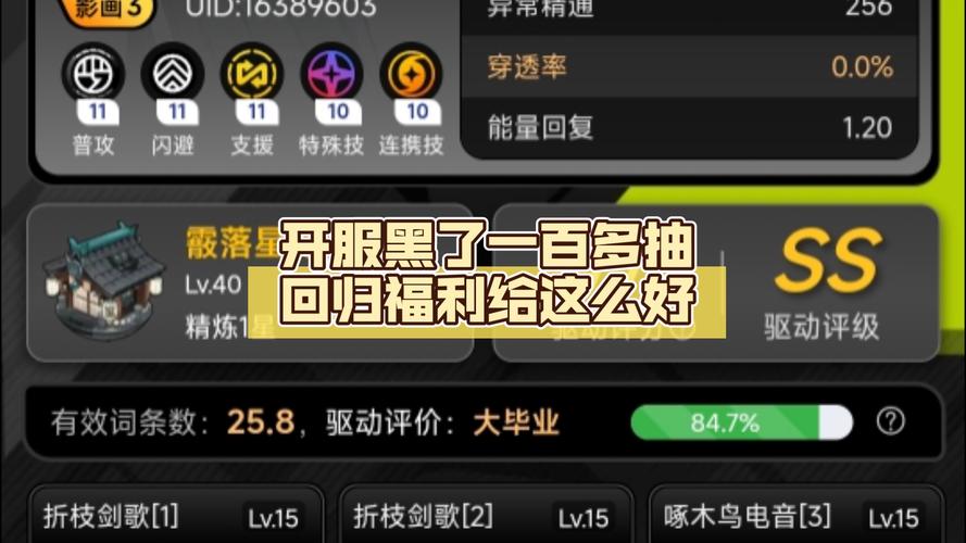 绝区零黑屏难题全解析，助你顺利进入游戏服务器