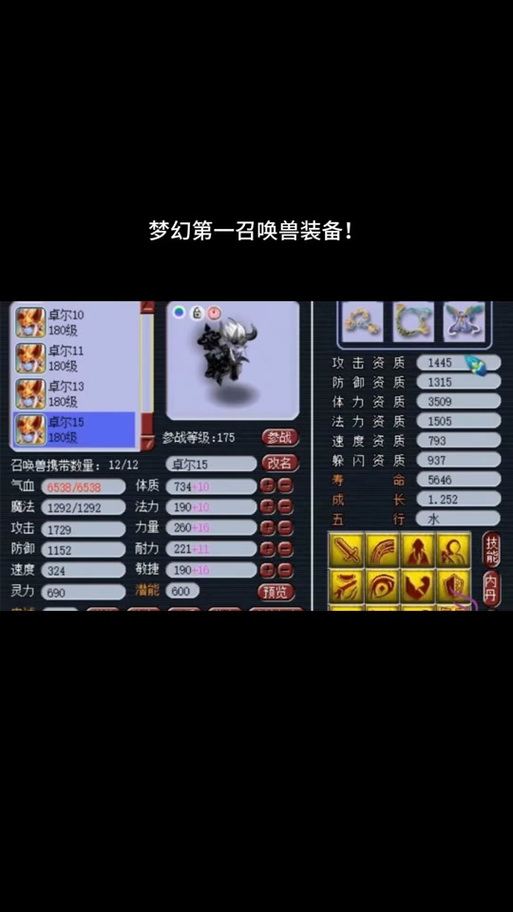 梦幻西游160级宠物搭配全攻略，打造顶级战斗阵容