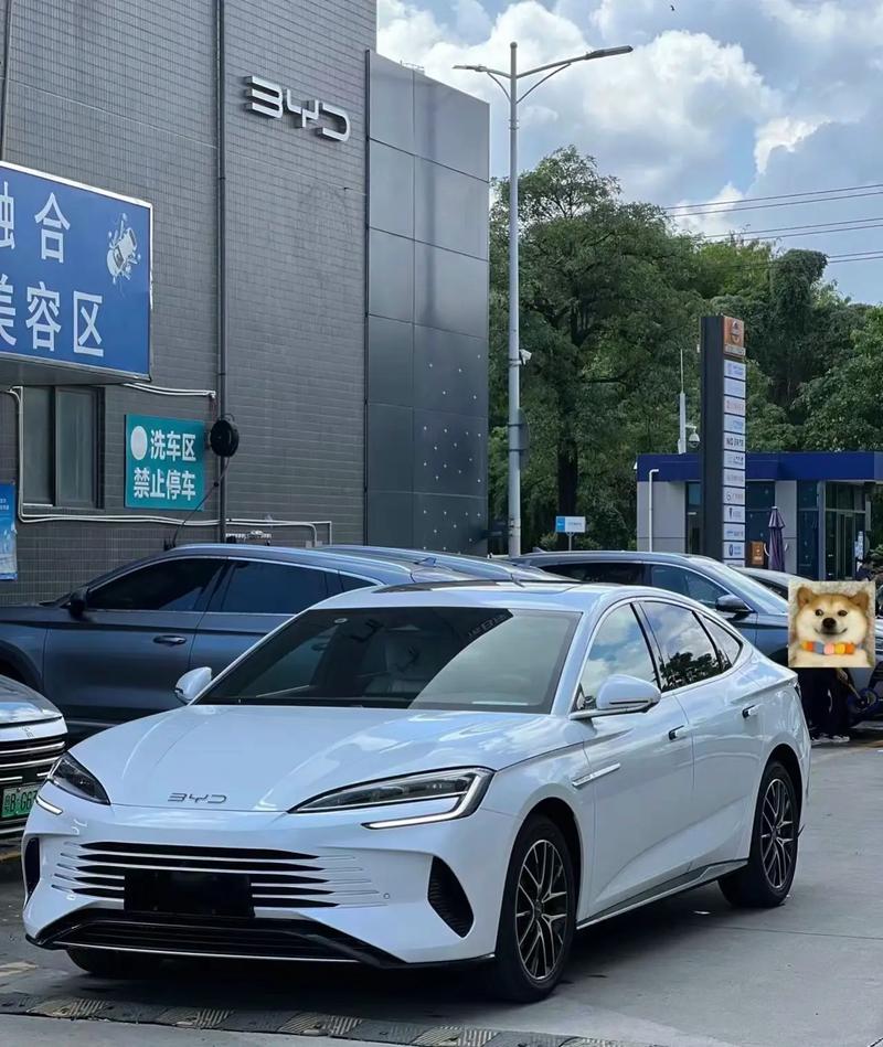 比亚迪西安F3赛道秀操控，海豹系列手游攻略大揭秘，能否征服你的心？