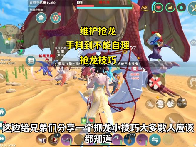 探索创造与魔法世界，揭秘龙的饮食奇妙奥秘深度攻略