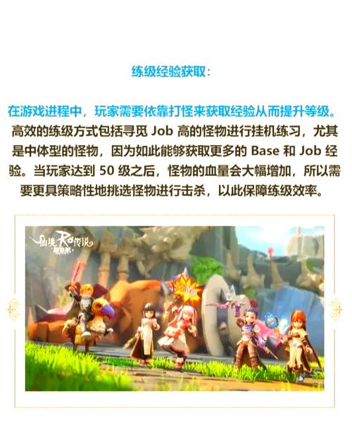 仙境传说新启航视角选择秘籍全解析