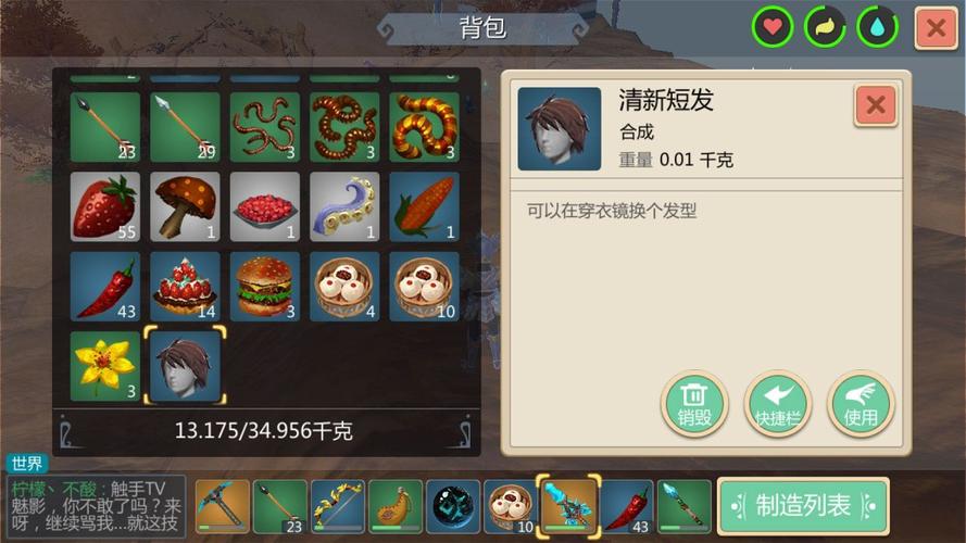 创造与魔法发型图纸获取全攻略，图纸获取方法深度解析