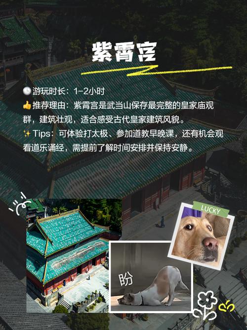 放置江湖21章武当山新手全面攻略介绍