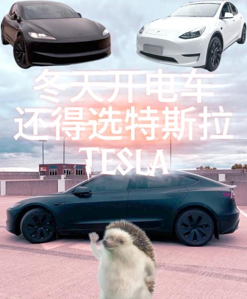 特斯拉新言论引发热议，家电能耗真比电动汽车高吗？空调1天能耗竟能开特斯拉1周！