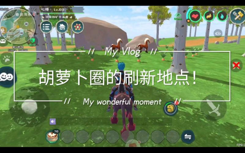 创造与魔法胡萝卜田位置全攻略