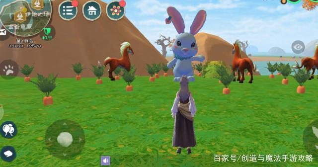 创造与魔法胡萝卜田位置全攻略