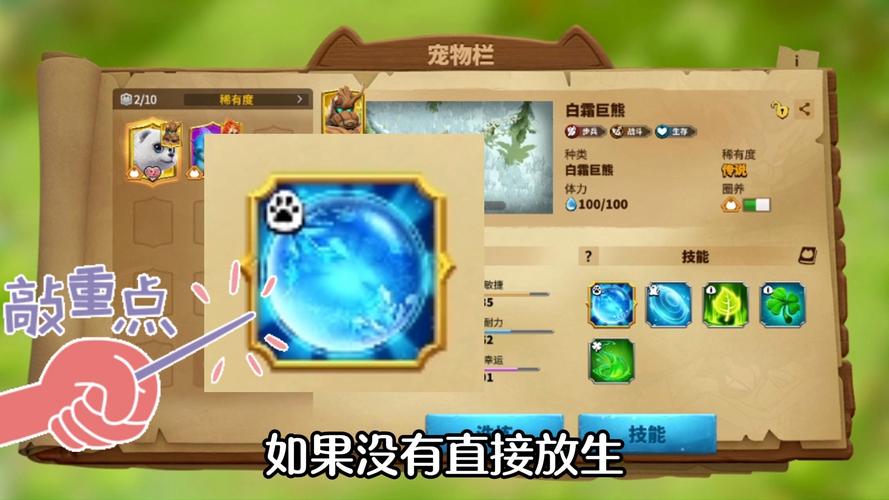万龙觉醒，宠物捕捉秘籍大公开