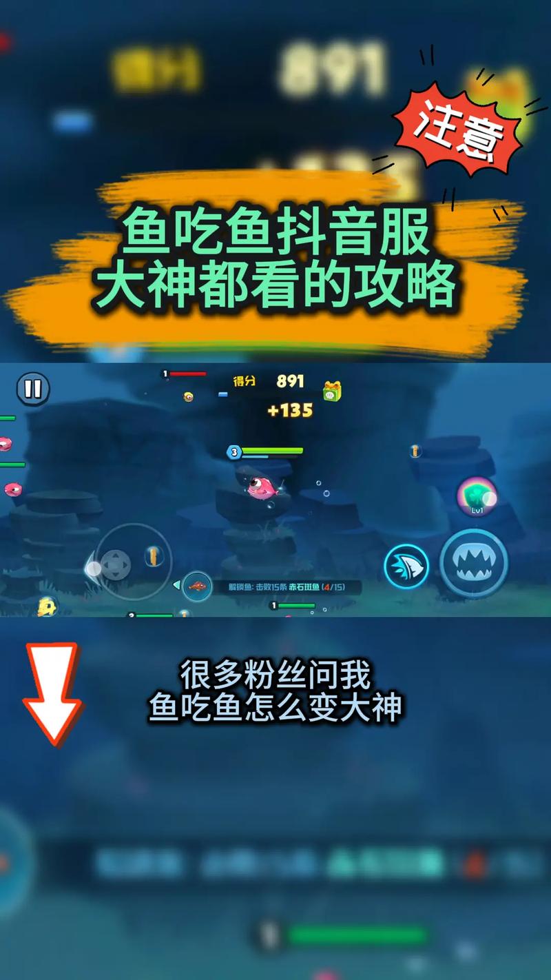 鱼吃鱼手游大招升级与快速进阶秘籍