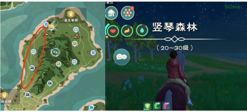探索创造与魔法中的幻想森林，详尽攻略指南